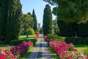 Tulipani, boschi e buone prassi: Parco Giardino Sigurtà, oasi naturalistica sostenibile